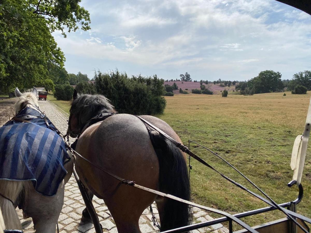 Huus Utspann Fewo Mit Terrasse - 23 Km Vor Hamburg - Seevetal Eksteriør bilde